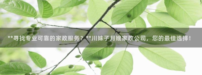 杏悦官网