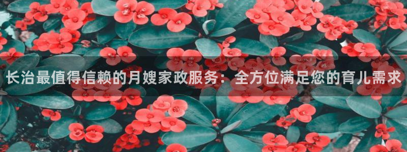 杏悦官方平台是正品吗知乎