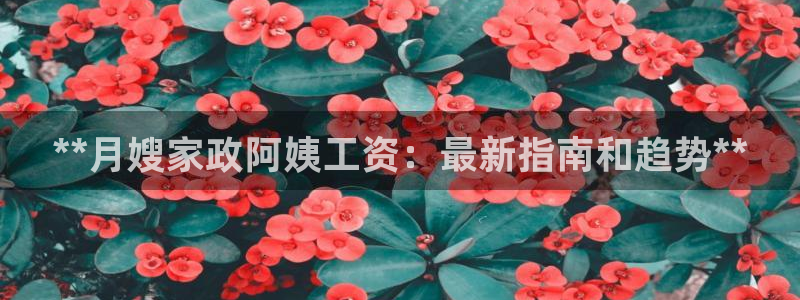 杏悦平台主管