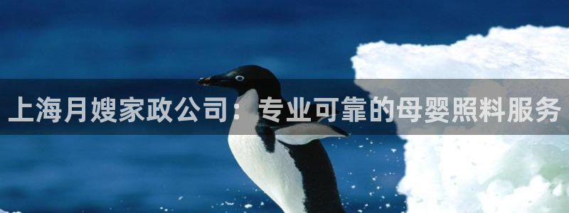 杏悦平台公司介绍