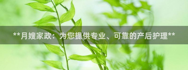 杏悦官网注册信息