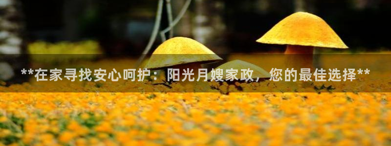杏悦官方平台官网入口