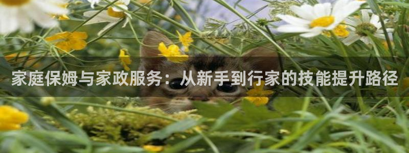 杏悦平台代理注册要钱吗