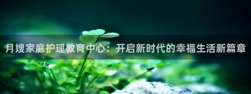 杏悦平台代理
