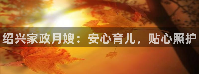 杏悦官方平台官网