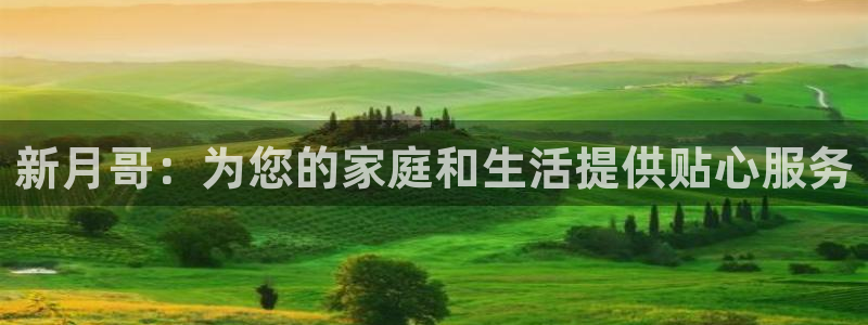 杏悦招商地址