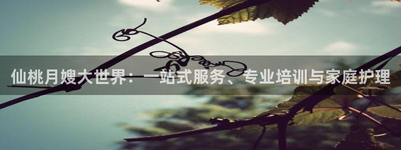 杏悦平台开户地址