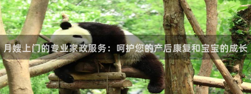 杏悦官网注册信息是什么样的