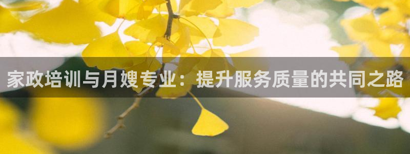杏悦平台开户地址在哪里