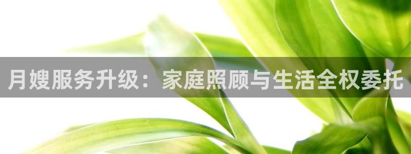杏悦平台开户地址在哪里