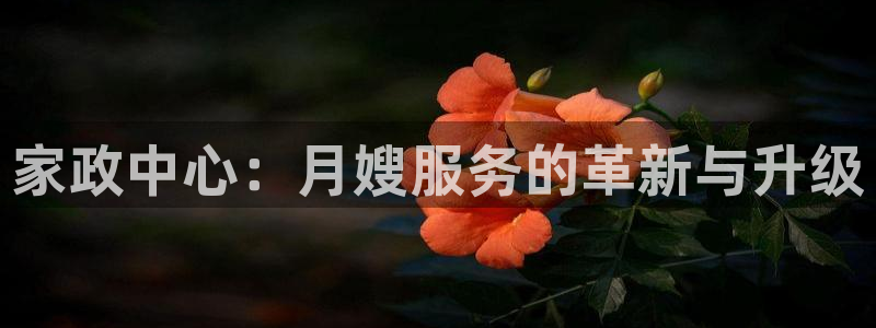 杏悦官网登录入口网址