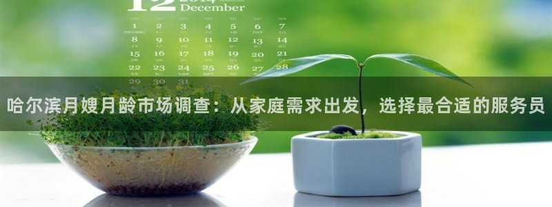 杏悦平台开户地址怎么改