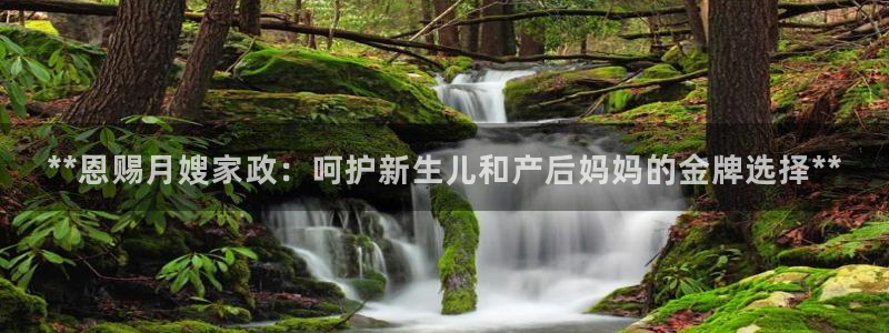 杏悦平台登录地址是什么