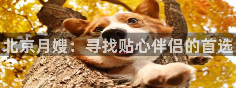 杏悦官网登录入口网址