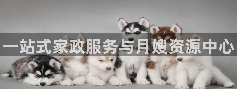 杏悦地址