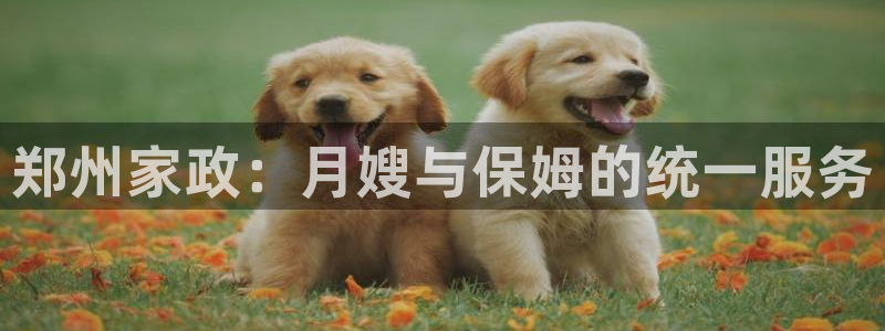 杏悦娱乐怎么玩