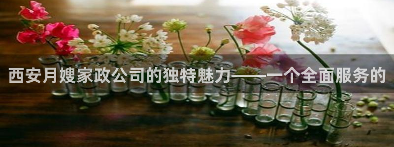 杏悦平台代理多少钱