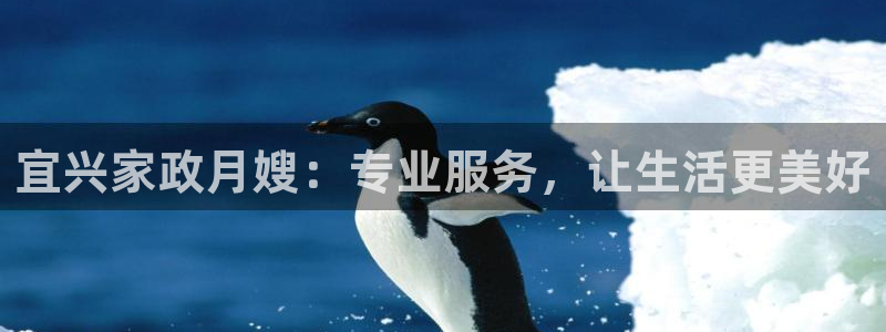 杏悦官网