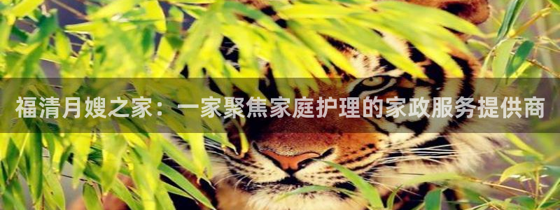 杏悦平台可靠吗可信吗安全吗