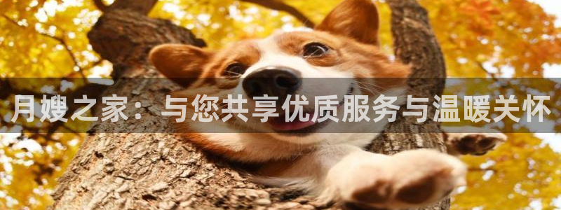 杏悦官方平台官网首页
