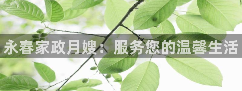 杏悦官方平台是正品吗知乎