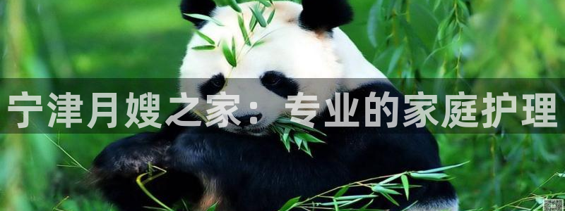 杏悦平台地址
