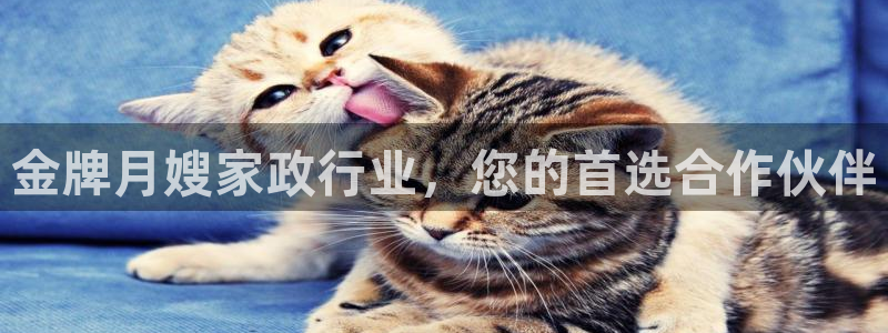 杏悦平台主管