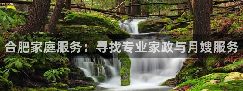 杏悦平台