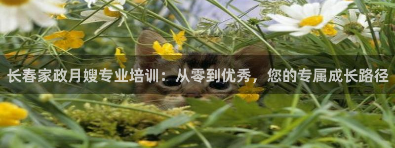 杏悦平台开户地址在哪里
