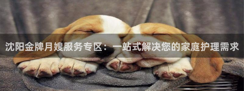 杏悦平台可靠吗是真的吗