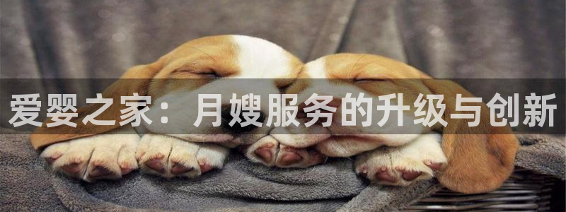 杏悦平台登陆