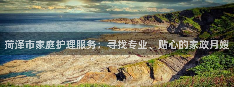 杏悦平台登录网址查询