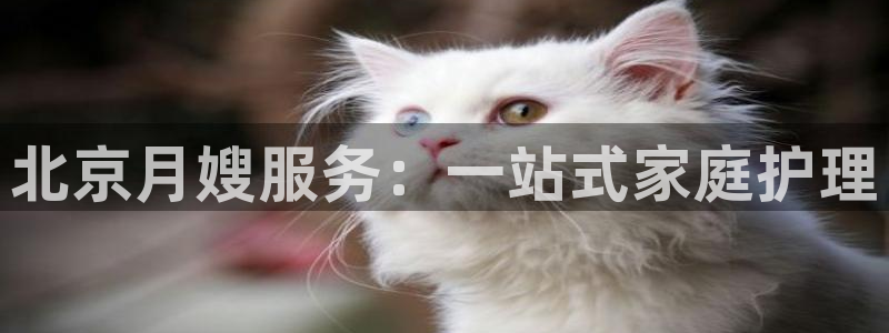 杏悦娱乐平台靠谱吗