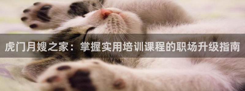 杏悦平台登录网址