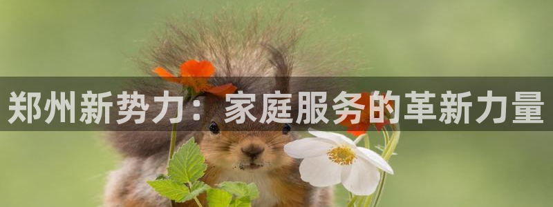 杏悦平台注册网址