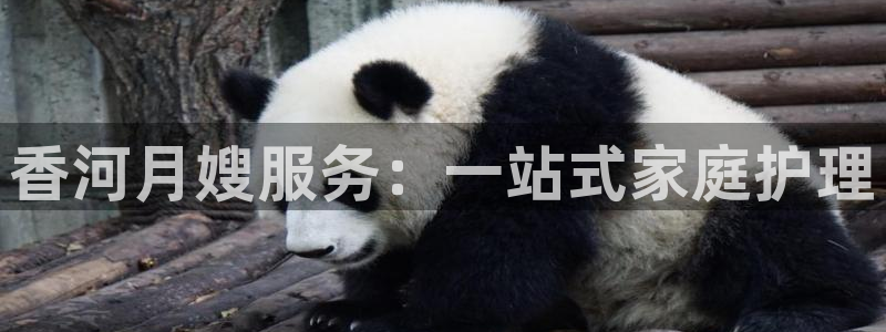 杏悦平台代理怎么样赚钱