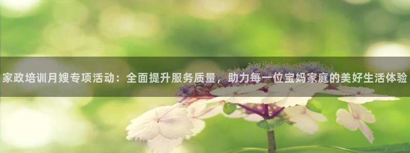 杏悦是什么平台
