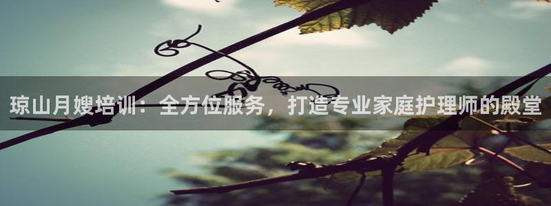 杏悦平台代理怎么样
