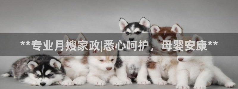 杏悦平台开户地址是什么