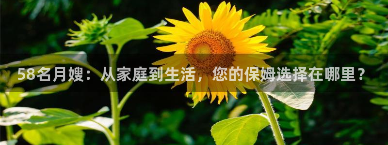 杏悦官方平台官网入口