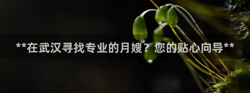 杏悦平台登录网址