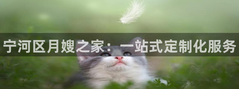 杏悦平台登录地址是什么