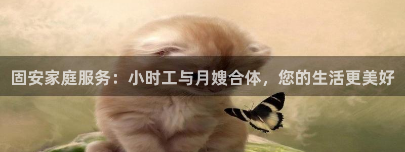 杏悦官网登录入口网址是多少