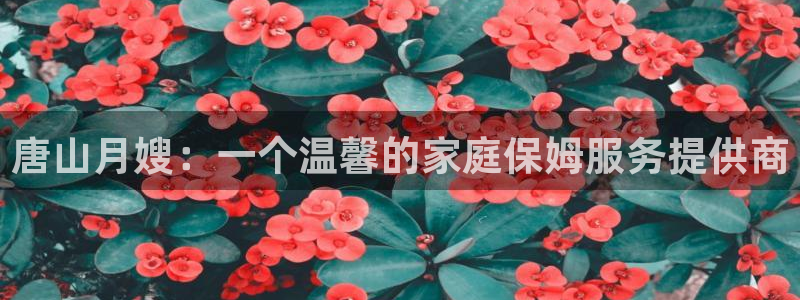 杏悦平台注册地址