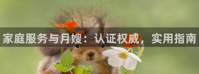 杏悦平台代理怎么赚钱快