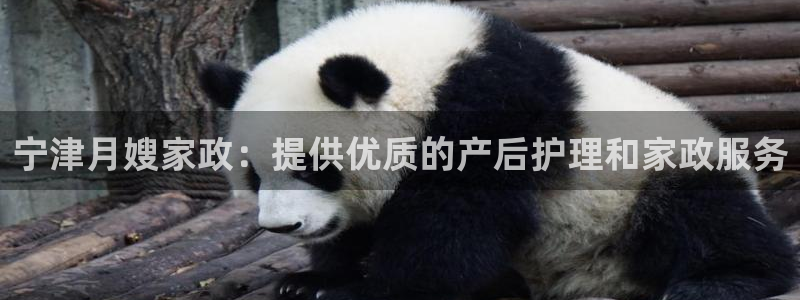 杏悦平台代理怎么赚钱快