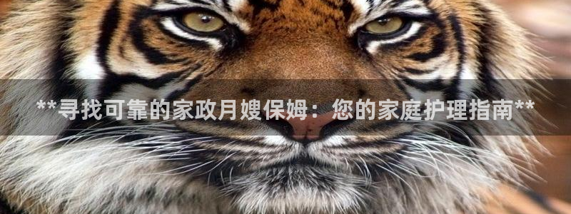 杏悦平台代理怎么做