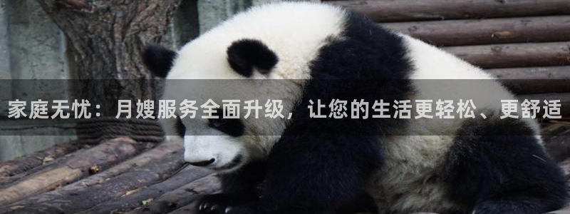 杏悦平台公司介绍