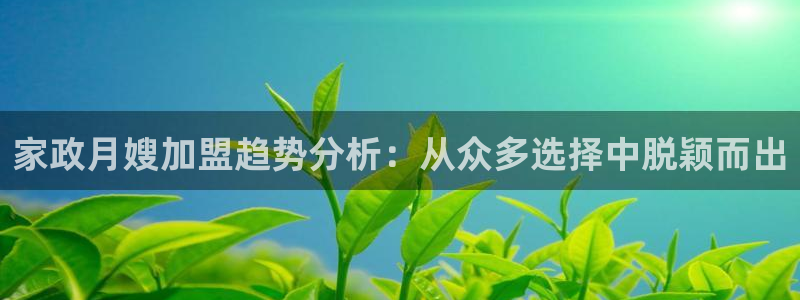 杏悦平台招商电话