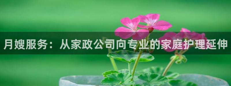 杏悦平台代理怎么样可靠吗